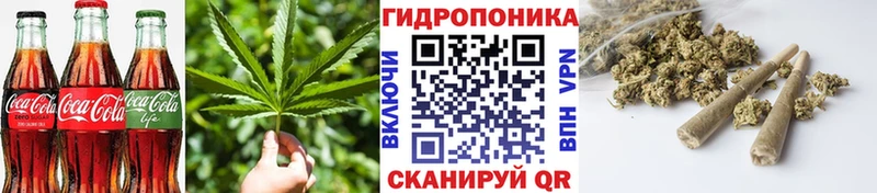 Cannafood конопля  Холмск 