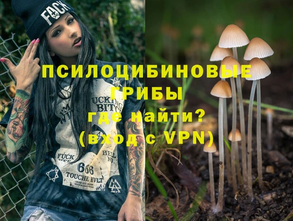 spice Ачинск