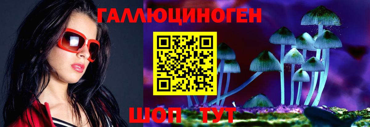 Псилоцибиновые грибы GOLDEN TEACHER  Вход с VPN  Холмск 